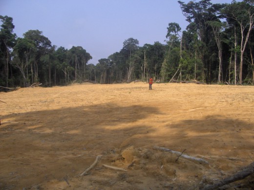Deforestation-in-Africa-520x390